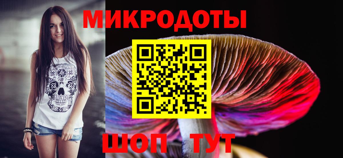Галлюциногенные грибы мухоморы  Вход с VPN  Норильск 